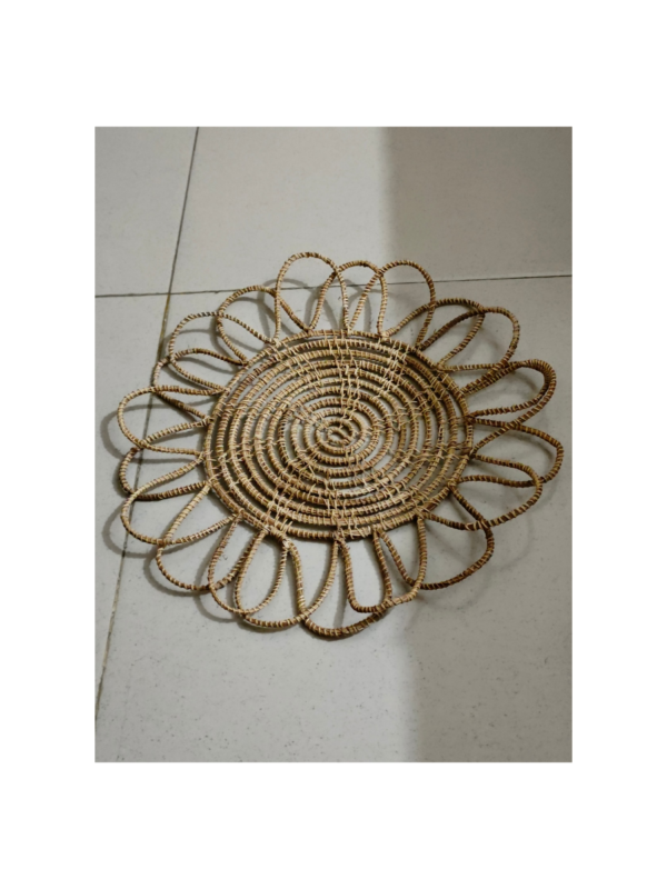 Palm fiber